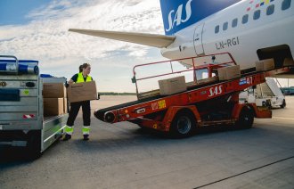 Bildet viser esker som blir transportert ombord i et fly.