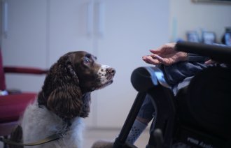 Bildet viser en terapihund som har nærkontakt med en beboer på sykehjem