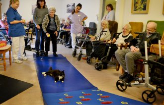 Eldre spiller casinoball. En katt har lagt seg i veien. 