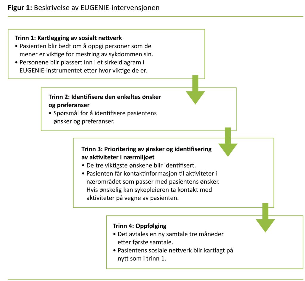 Figur 1. Beskrivelse av EUGENIE-intervensjonen