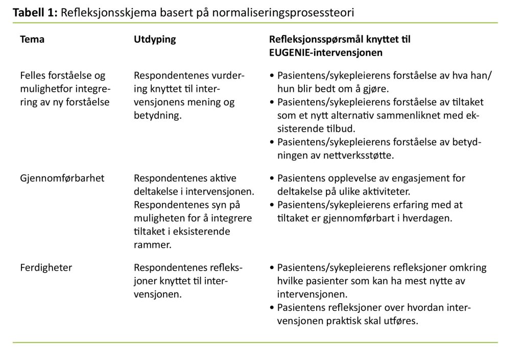 Tabell 1. Refleksjonsskjema basert på normaliseringsprosessteori