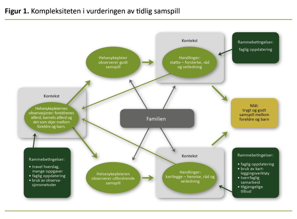 Figur 1. Kompleksiteten i vurderingen av tidlig samspill