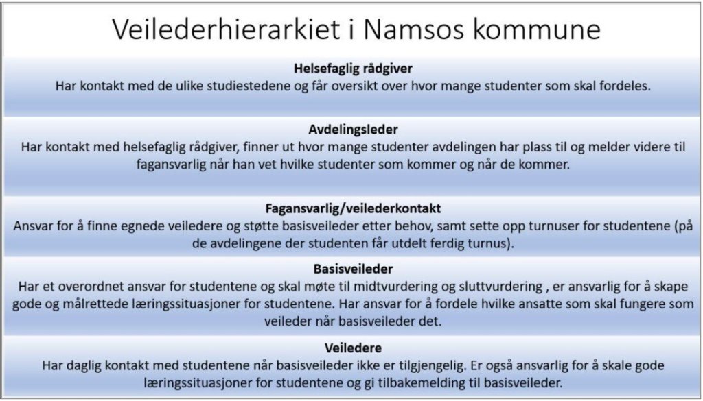 bildet viser veilederhierarkiet i Namsos kommune