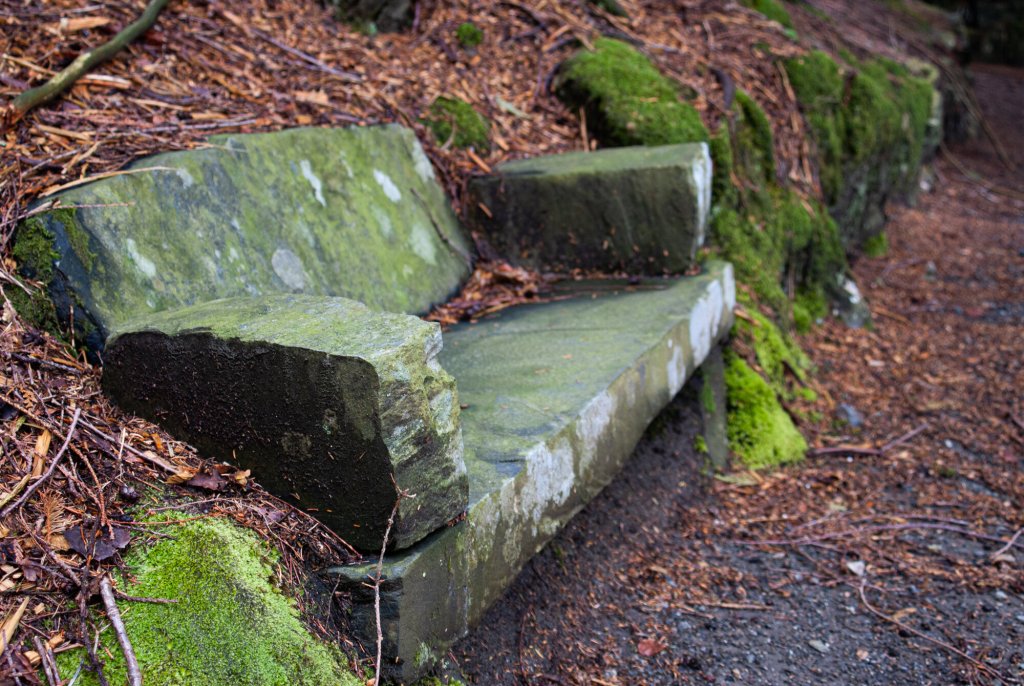 Barnebenk i skogen.