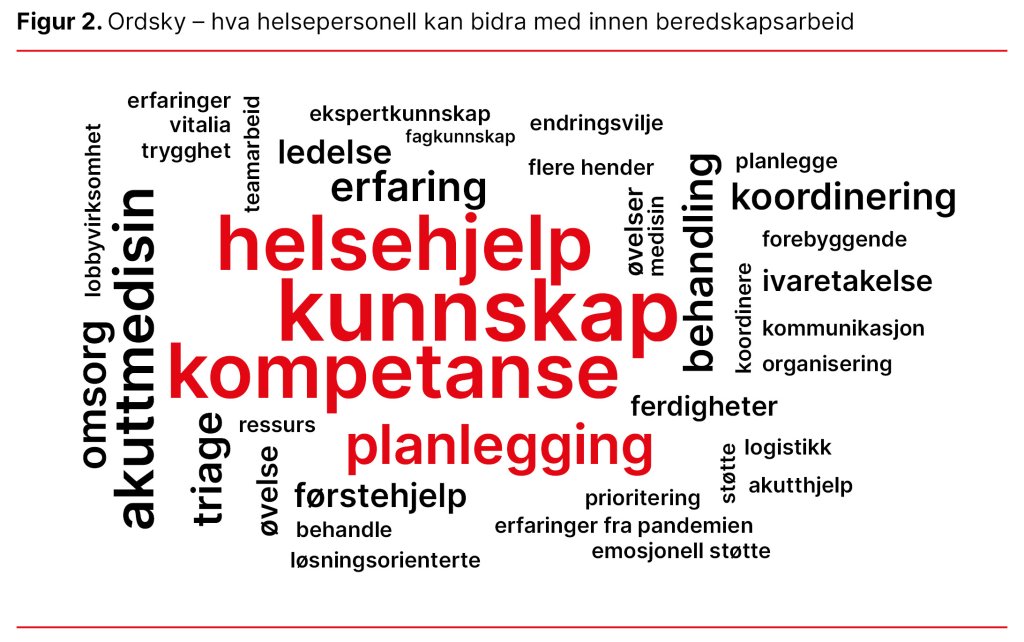 Figur 2. Ordsky – hva helsepersonell kan bidra med innen beredskapsarbeid