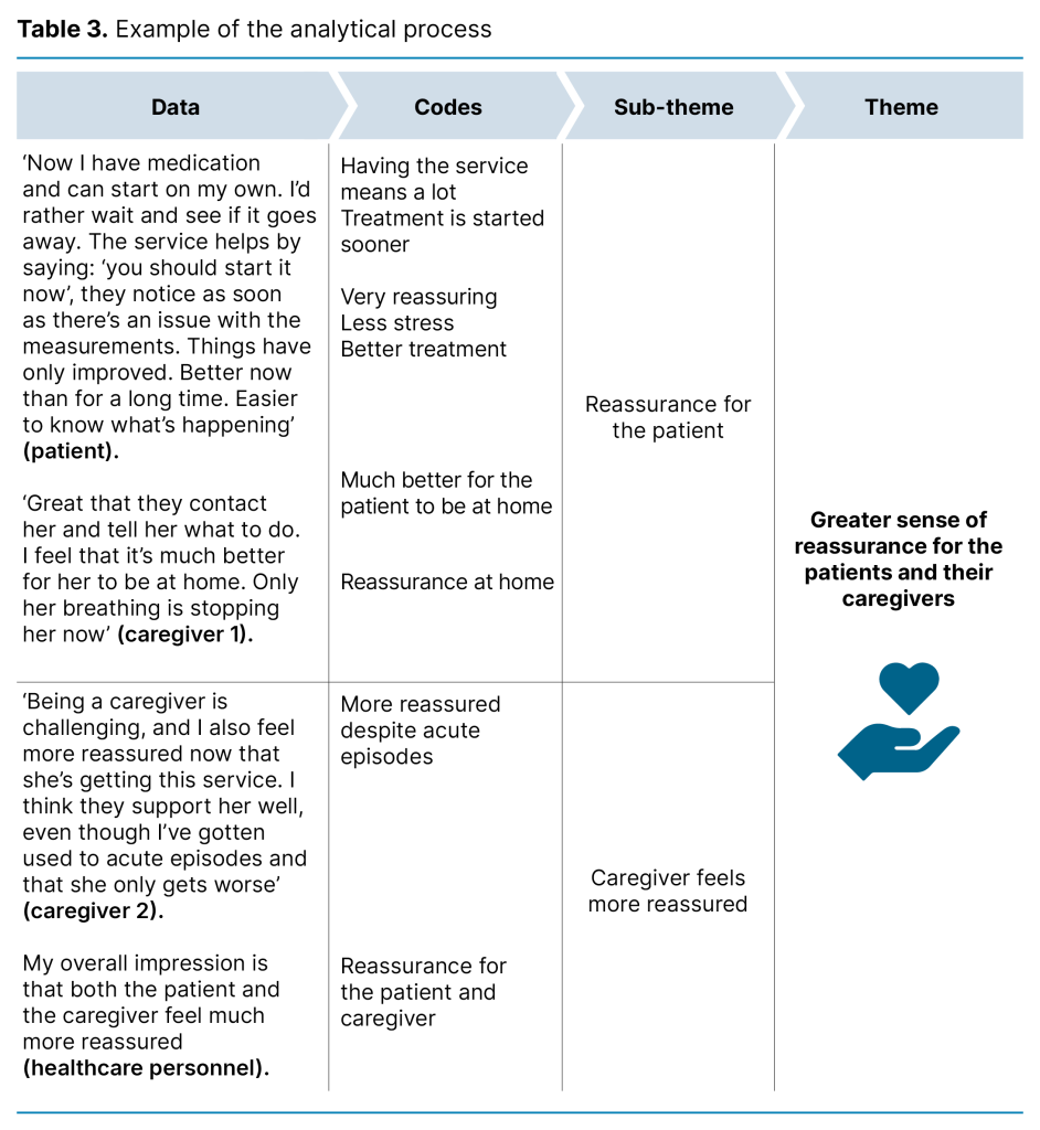 Table 3. Example of the analytical process 