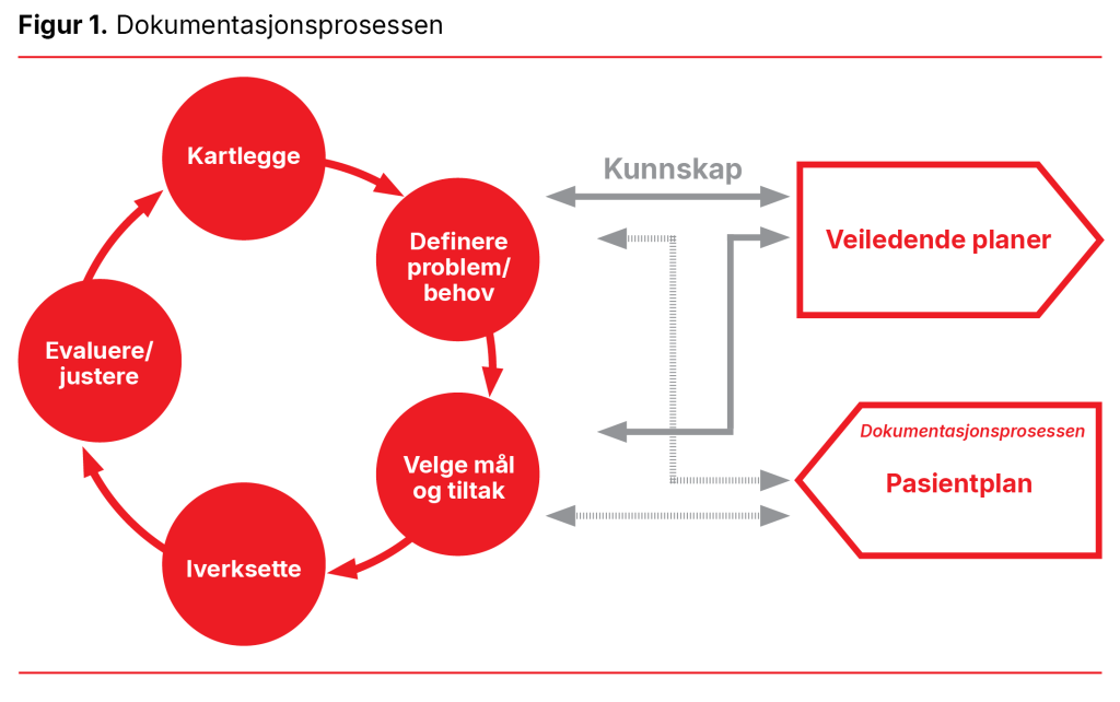 Figur 1. Dokumentasjonsprosessen