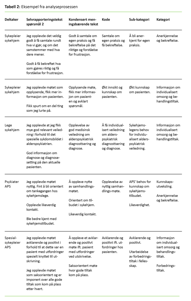   Tabell 2: Eksempel fra analyseprosessen