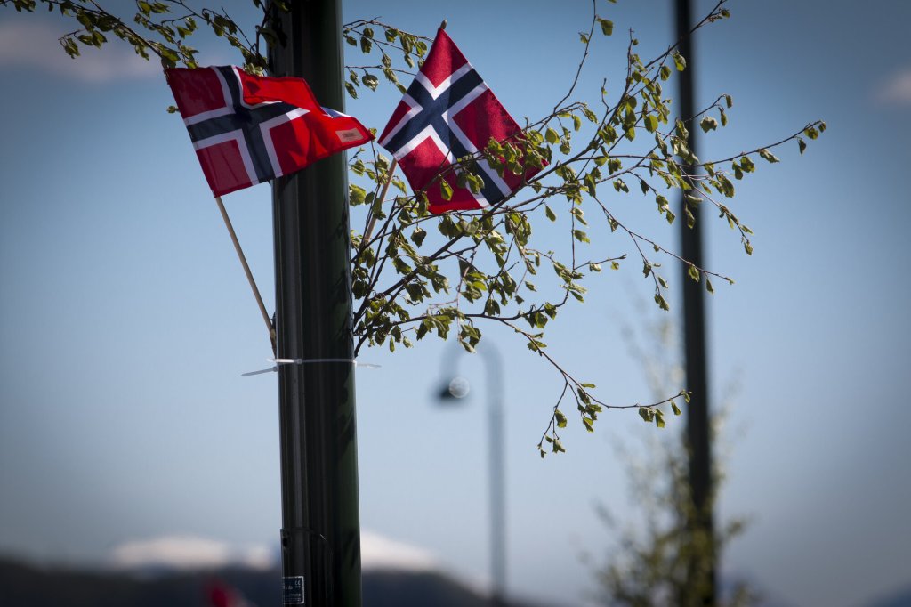 Bildet viser to norske flagg og bjørkekvister