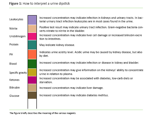 Figure 1: How to interpret a urine dipstick