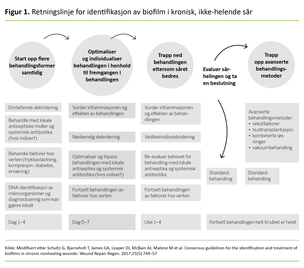 Figur 1. Retningslinje for identifikasjon av biofilm i kronisk, ikke-helende sår