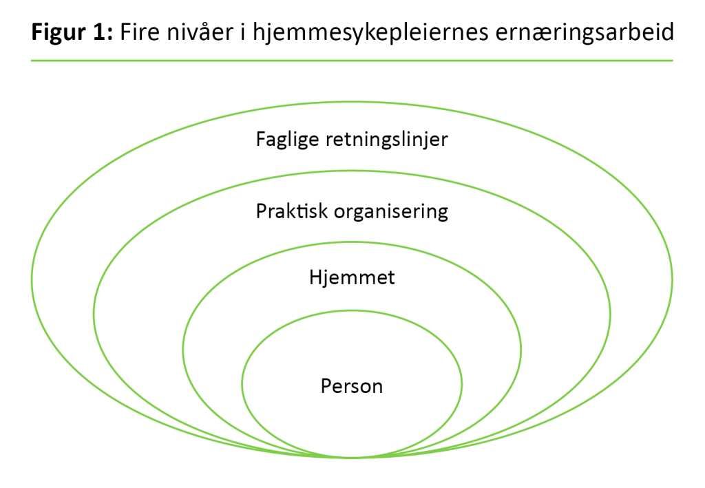 Figur 1. Fire nivåer i hjemmesykepleiernes ernæringsarbeid