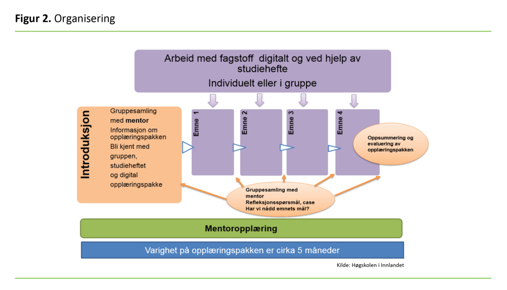 Figur 2: Organisering