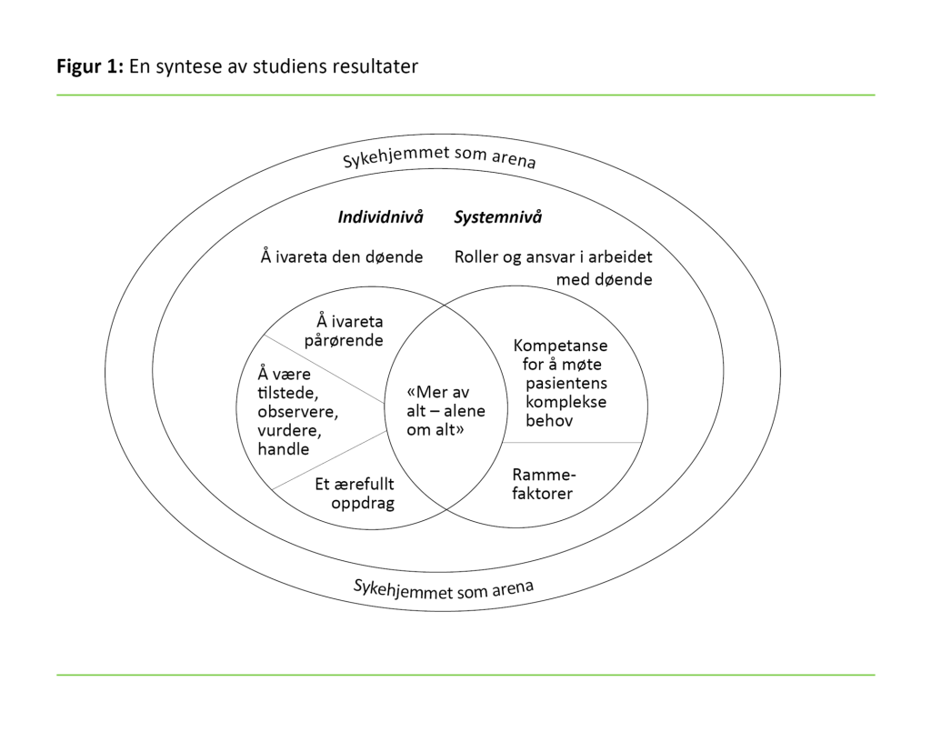 Figur 1. En syntese av studiens resultater