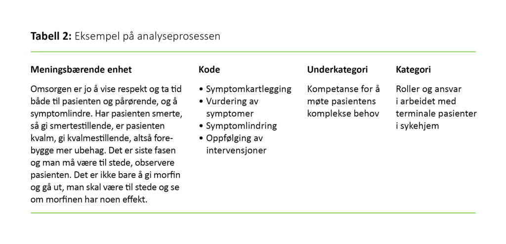 Tabell 2: Eksempel på analyseprosessen