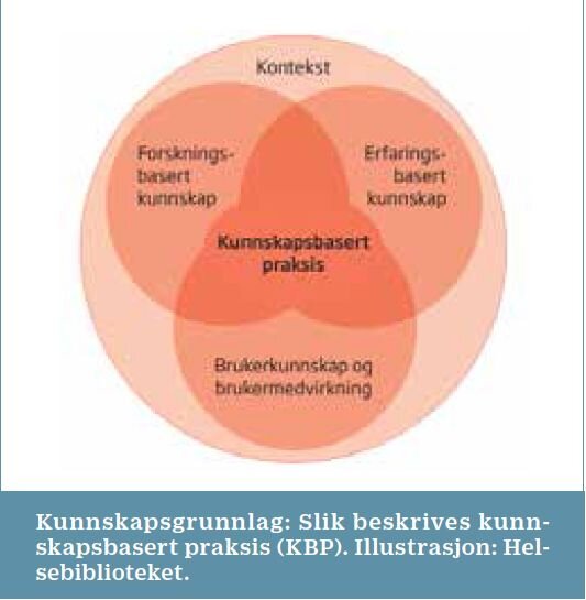 Modell for kunnskapsbasert praksis