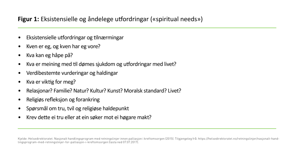 Figur 1. Eksistensielle og åndelege utfordringar («spiritual needs»)