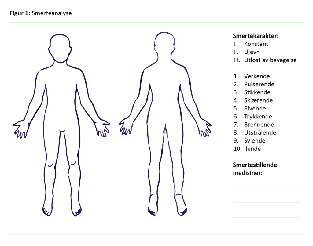 Figur 1: Smerteanalyse