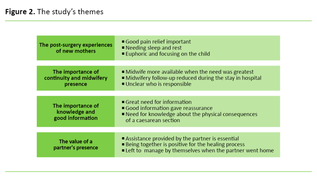 Figure 2. The study’s themes