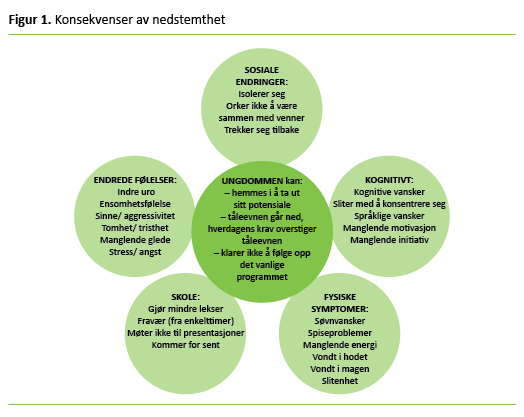 Figur 1: Konsekvenser av nedstemthet