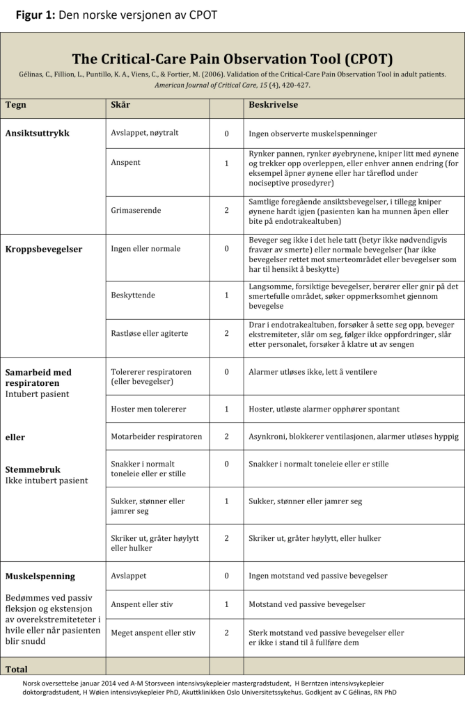 Figur 1: Den norske versjonen av CPOT