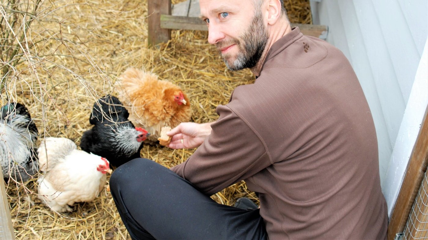 Bildet er et portrett av doktorand Knut Ove Æsøy som mater hønene sine.