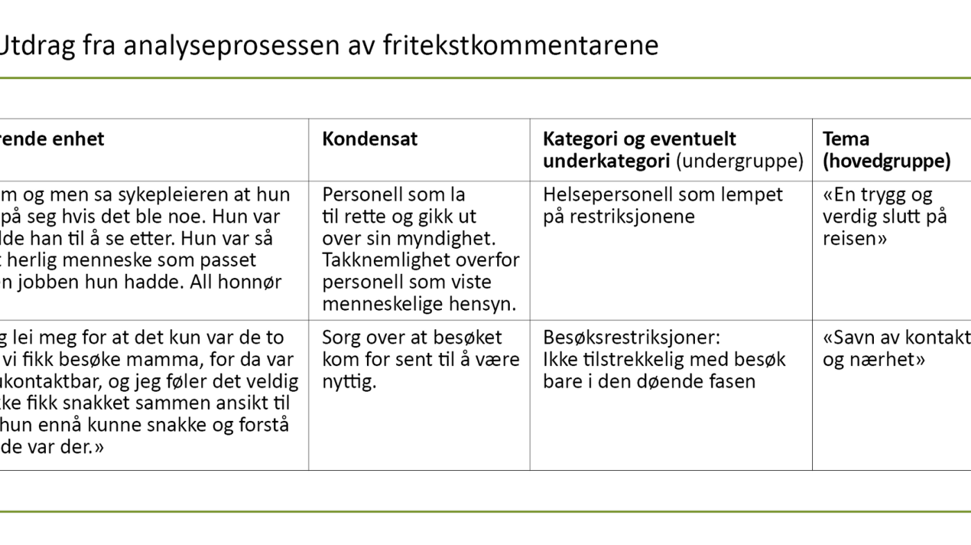 Tabell 2. Utdrag fra analyseprosessen av fritekstkommentarene