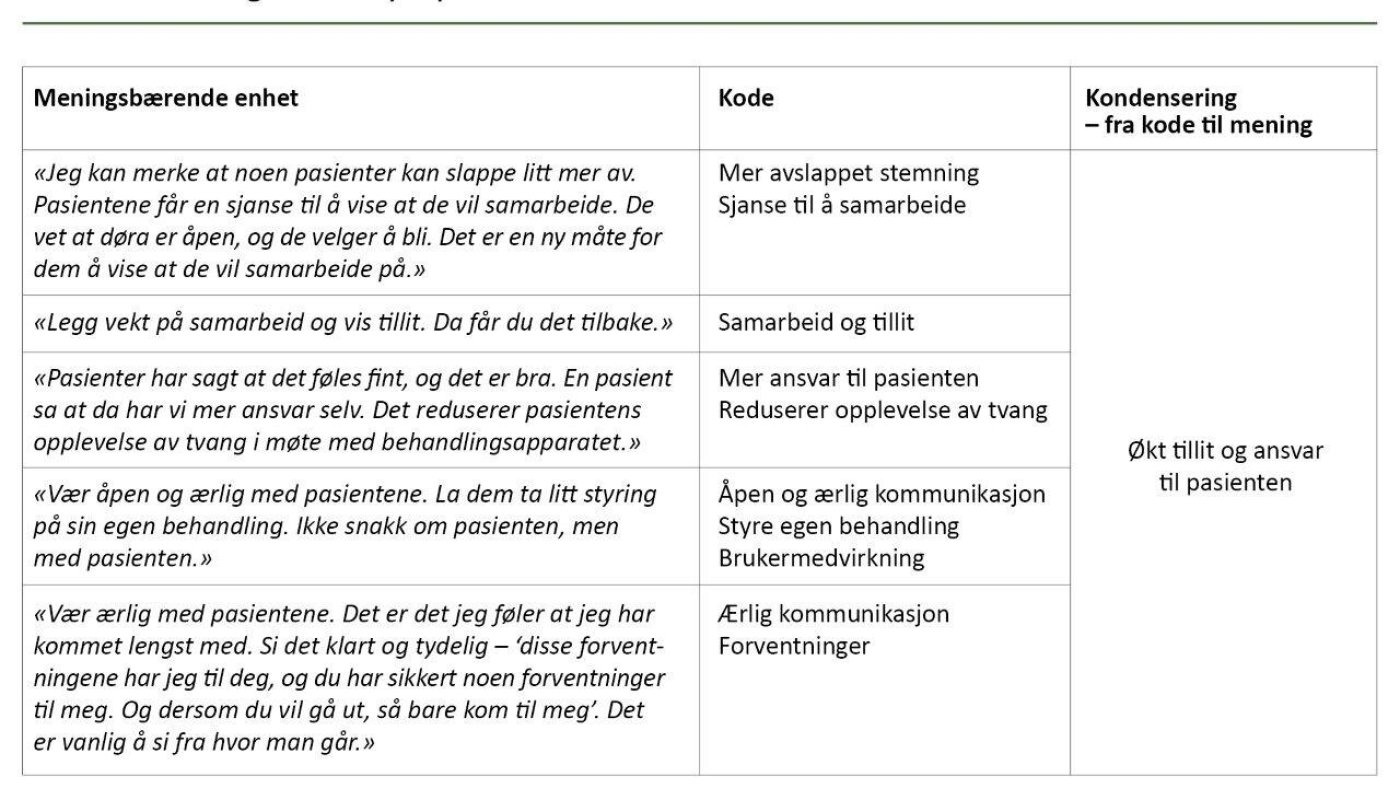 Tabell 1. Utdrag fra analyseprosessen