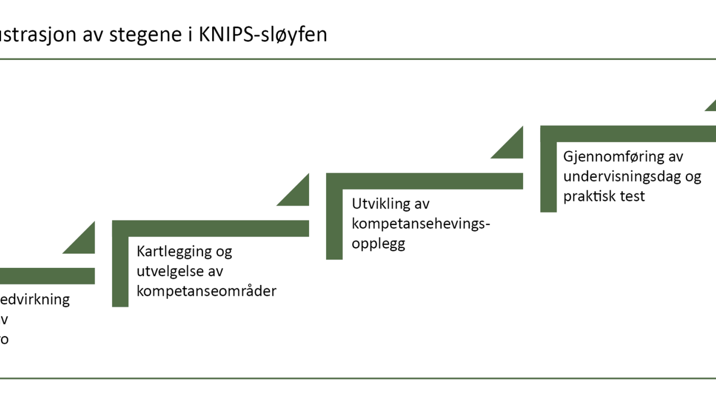 Figur 1. Illustrasjon av stegene i KNIPS-sløyfen.